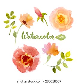 Vector watercolor botanical elements set. Vector leaves and flowers. Floral vector elements.