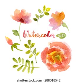 Vector watercolor botanical elements set. Vector leaves and flowers. Floral vector elements.