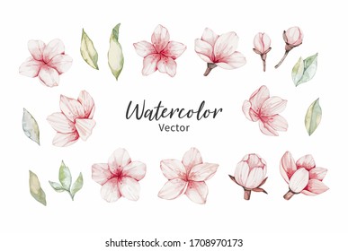 Vector Watercolor botanical illustration. Pink cherry blossom. Collection with gentle flowers, bud, branches and green leaves. Perfect for wedding invitations, cards, frames, posters, packing.