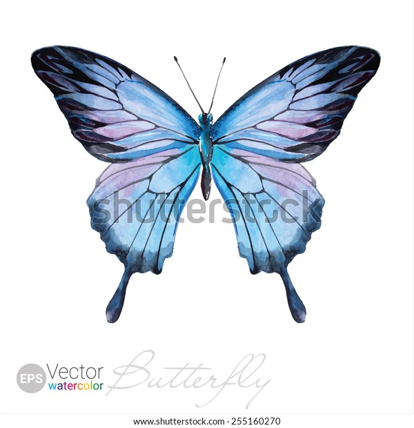 Free Free 79 Watercolor Butterfly Svg SVG PNG EPS DXF File