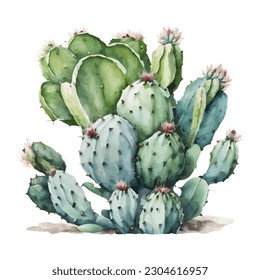 vector watercolor cactus texture elegant