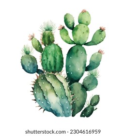 vector watercolor cactus texture elegant