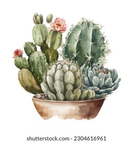 vector watercolor cactus texture elegant