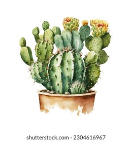 vector watercolor cactus texture elegant