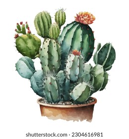 vector watercolor cactus texture elegant