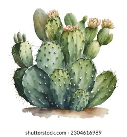 vector watercolor cactus texture elegant