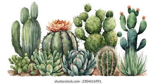vector watercolor cactus texture elegant