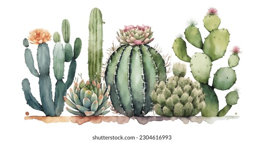 vector watercolor cactus texture elegant