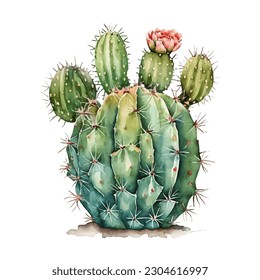 vector watercolor cactus texture elegant