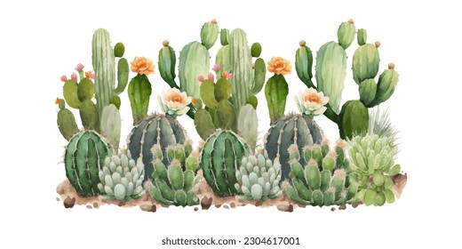 vector watercolor cactus texture elegant