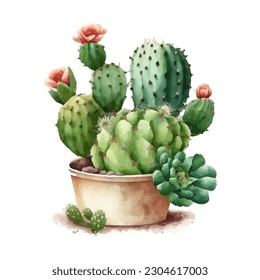 vector watercolor cactus texture elegant