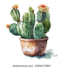 vector watercolor cactus texture elegant