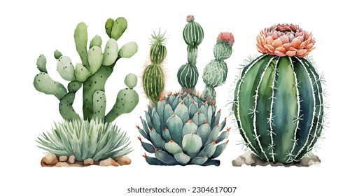 vector watercolor cactus texture elegant