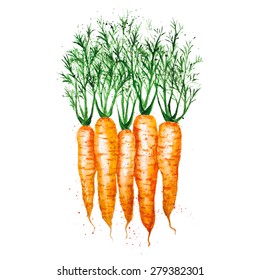 Vector watercolor carrots, isolated on white background