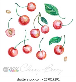 Vector Watercolor Cherries. Berry Cherry
