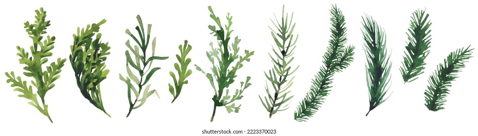 Vector Watercolor Christmas set of evergreen twigs. Green and blue colours. Cut out hand drawn trased illustrations. 