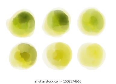 Vector watercolor circle in green