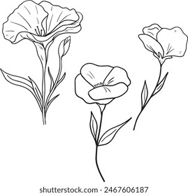 Vector Watercolor calla lilies clipart. Line collection for coloring book Greeting cards, invitation, gender party, baby shower, birthday, event, holiday, wedding card, printable.