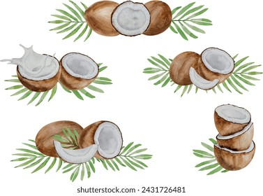 Vector watercolor coconut compositions. Different collages of coconuts, halves and parts, palm leaves, hand painted, white background, for design, banners, frame, cosmetics, postcard, invitation