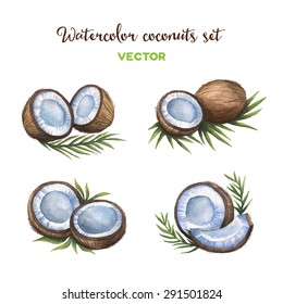 Vector watercolor coconuts set. Isolated on white background.