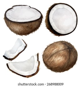 Vector watercolor coconuts set.Coconuts isolated on white. Different type of pieces. Handdrawn illustration. 