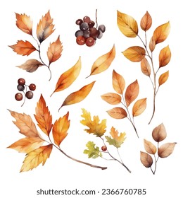 Vector watercolor colorful autumn foliage collection set