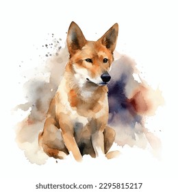 Vector watercolor colours dog dingo clipart isolated on white background.