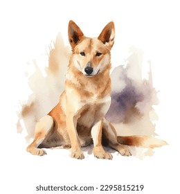 Vector watercolor colours dog dingo clipart isolated on white background.