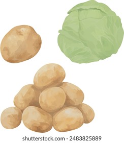 Vector Watercolor cooking set, food set, vegetables, potato, cabbage, pile of potato. Illustrations for creative cooking, invitation, greeting cards, birthday, event, holiday, menu; cooking class.