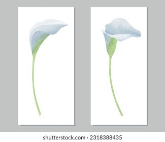 Vector watercolor diptych of two calla lilies
