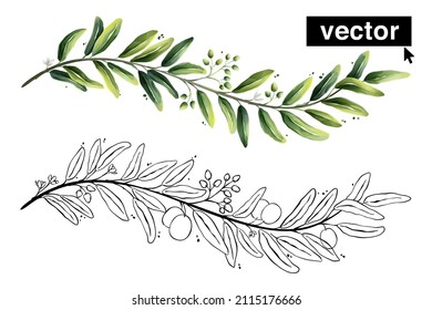 Vector watercolor divider and border olive set. Illustration of Mediterranean berries, green leaves, flowers, buds, and branches. Hand-drawn botanical collection on white background.