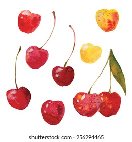 vector watercolor drawing cherries, hand drawn illustration