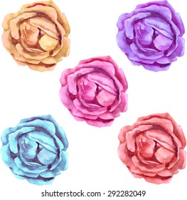 vector watercolor drawing isolated multicolored roses, hand drawn illustration