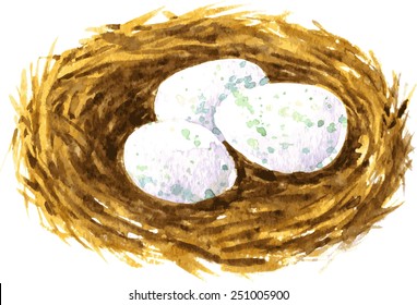 vector watercolor drawing nest of bird with eggs, hand drawn natural illustration, symbol of Easter