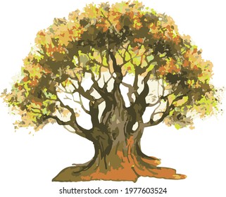 Vector watercolor drawing of old oak tree in autumn