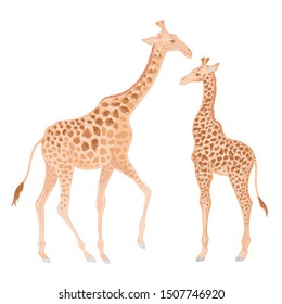 Vector with watercolor effect cute realistic illustration of giraffes. Adult giraffe mama with babies.