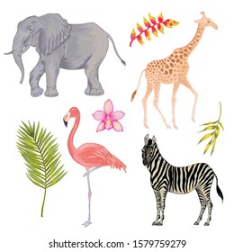 Vector with watercolor effect cute realistic illustration of zebra, elephant, flamingo and giraffe with flowers and leaves