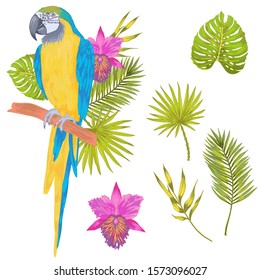 Vector with watercolor effect parrot macaw sitting on a branch with tropical leaves and flower