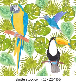 Vector with watercolor effect tropical toucan, hummingbird and blue macaw parrot birds with  philodendron areca palm, fan palm seamless pattern. Colorlful tropic background on white.