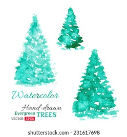 Vector watercolor evergreen trees. Hand-drawn spruce isolated on white background. 