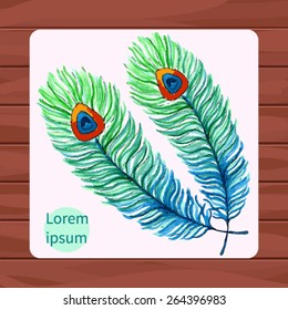 vector watercolor feather 