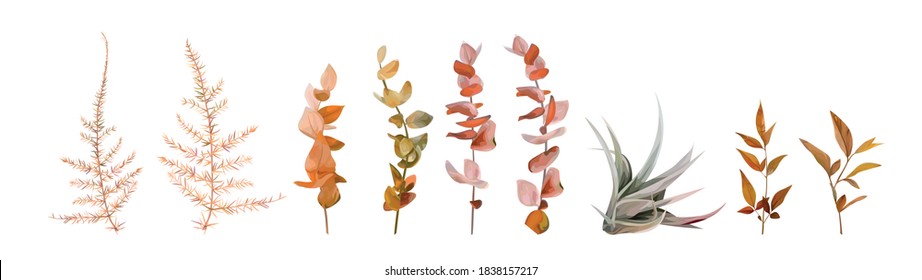 Vector watercolor floral autumn designer element set. Fall colored burnt orange, ocher red eucalyptus branches, natural leaves, beige asparagus fern, taupe green succulent editable & isolated on white