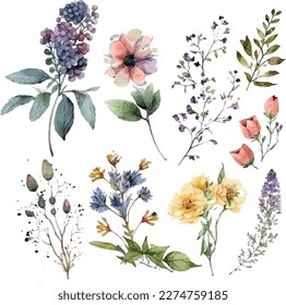 Vector watercolor floral illustration bouquet set - green leaves, pink peach blush white flowers branches. Wedding invitations, greetings, wallpapers, fashion, prints