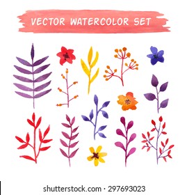 Vector watercolor floral set. Spring or summer design for invitation, wedding or greeting cards
