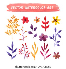 Vector watercolor floral set. Spring or summer design for invitation, wedding or greeting cards