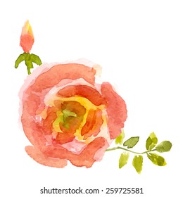 Vector watercolor flower design