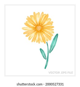 Ilustración de flores de acuarela vectorial. Icono floral amarillo. Diseño de verano. Dibujo botánico pintado aislado.