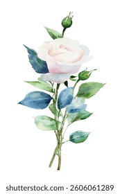 Vector watercolor flower white rose. Wedding, mother's day, valentine's day,Women's Day,innocence