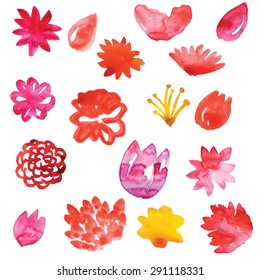 vector watercolor flowers