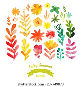 Vector watercolor flowers collection. Awesome flowers made in watercolor technique. Bright romantic card with summer flowers in vector. Hand drawn design elements